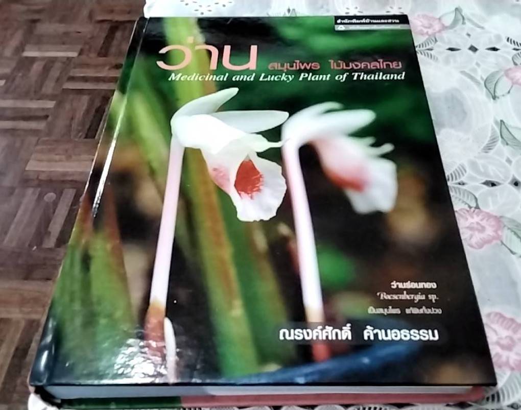 ว่าน สมุนไพร ไม้มงคลไทย