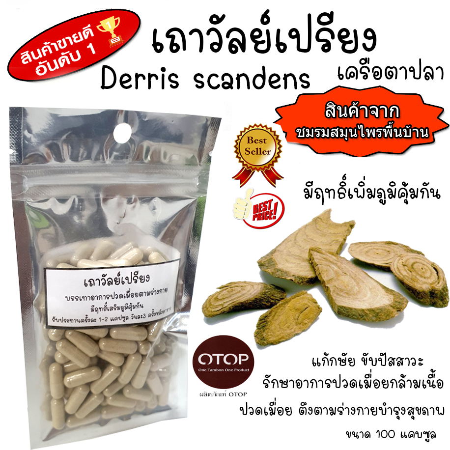 แคปซูลเถาวัลย์เปรียงบด100% บรรจุ 100 แคบซูล บรรจุแคบซูลขนาด 250 มก
