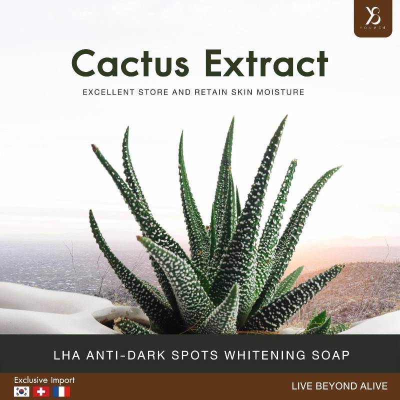 LHA Whitening Soap