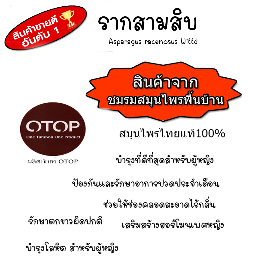 สมุนไพร100%บด รากสามสิบ บำรุงร่างกาย บำรุงเลือด เสริมสร้างฮอร์โมนเพศหญิง บรรจุ 100แคบซูล