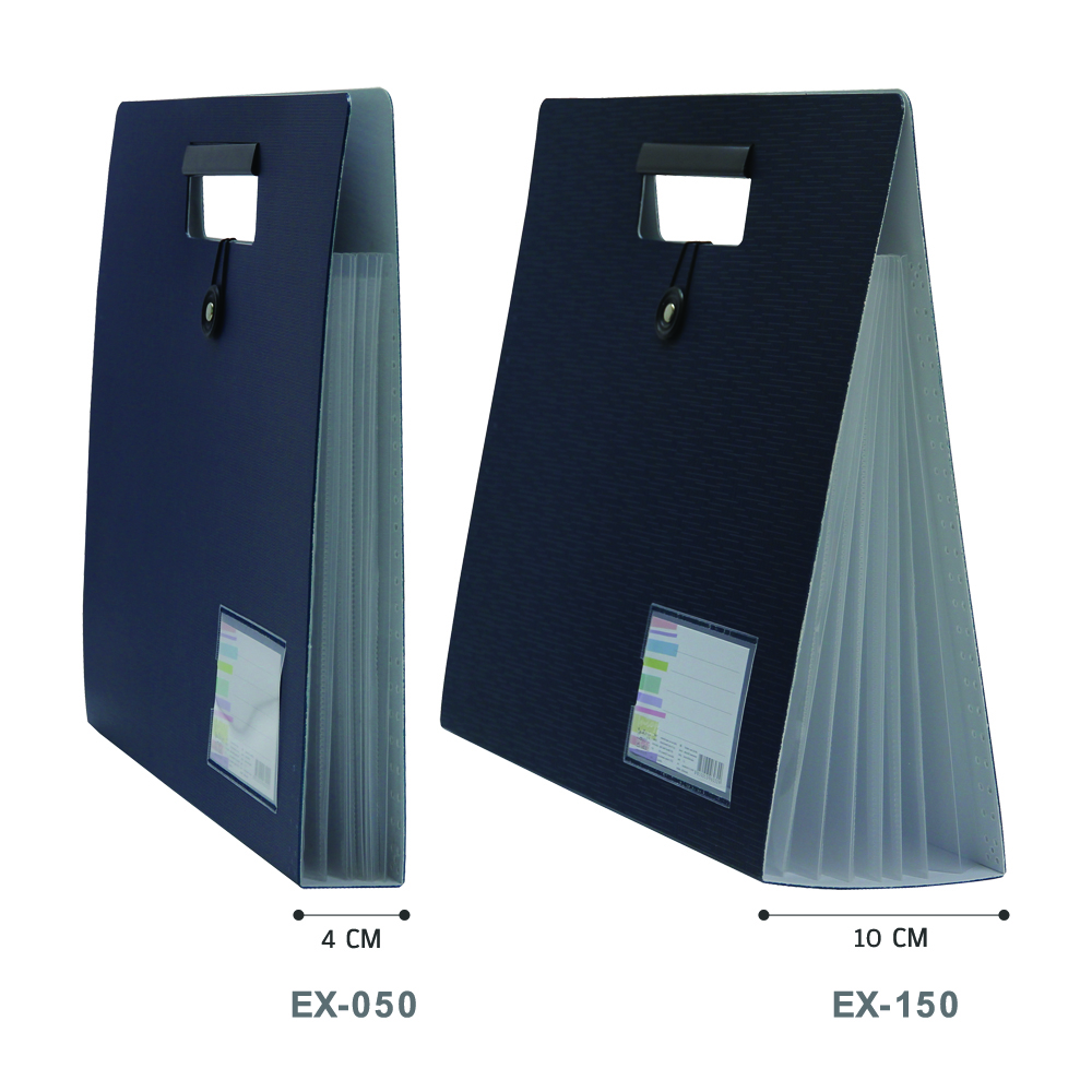 Plastic Document Bag