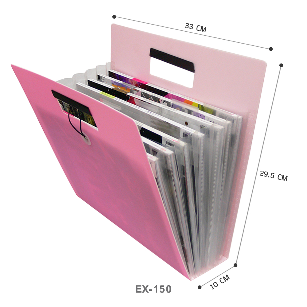 Plastic Document Bag