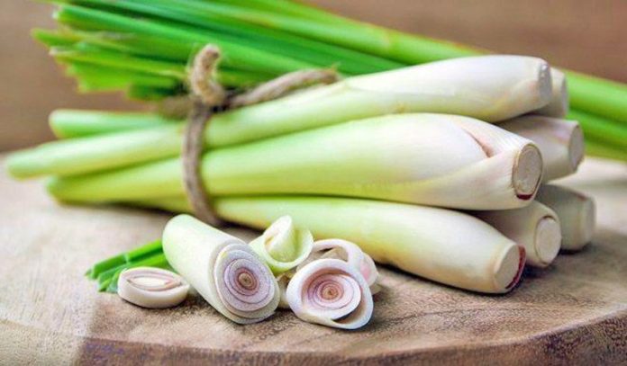 ตะไคร้ Lemon Grass ตรา บลูเบิร์ด ขนาด 600 มิลลิกรัม 60 แคปซูล