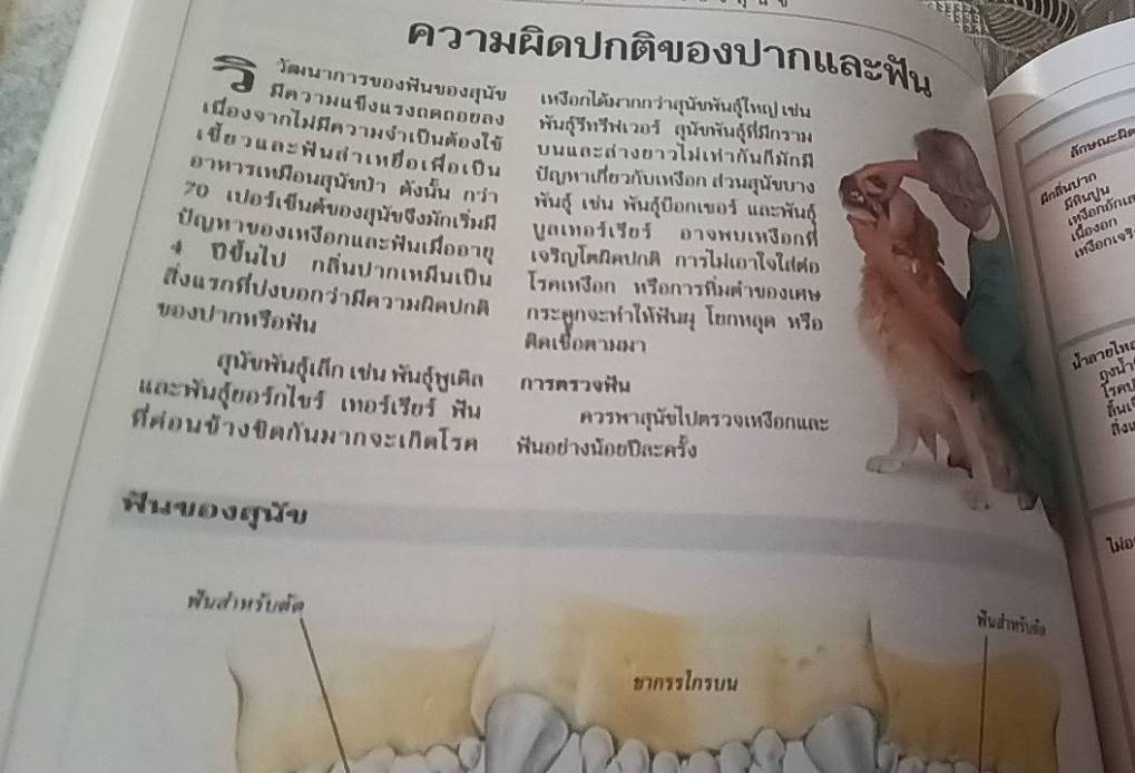 คู่มือดูแลสุนัข ฉบับสมบูรณ์