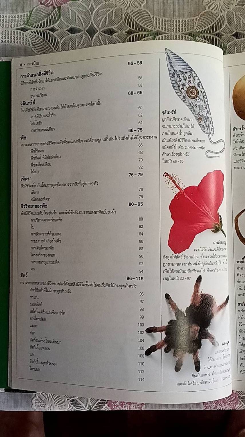 พจนานุกรมธรรมชาติวิทยา