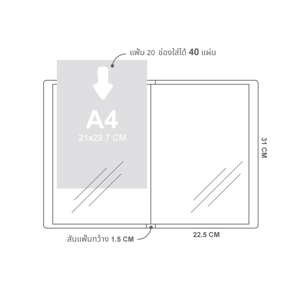 แฟ้มแคตตาล็อก A4 20 ช่อง