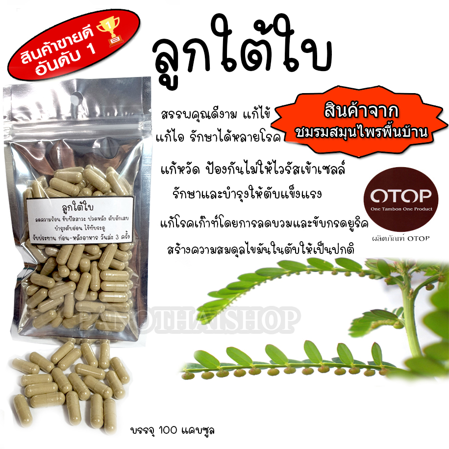ลูกใต้ใบ บำรุงตับ 100 แคบซูล