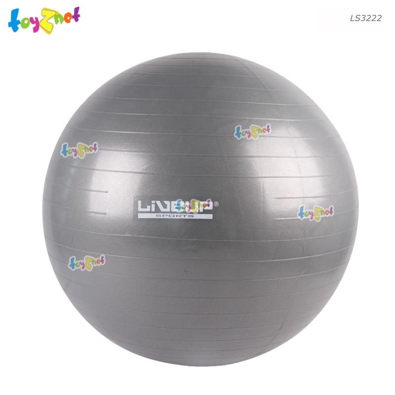 Toyznet 75cm Anti-Burst Gym Ball (Gray) No.LS3222-75CM