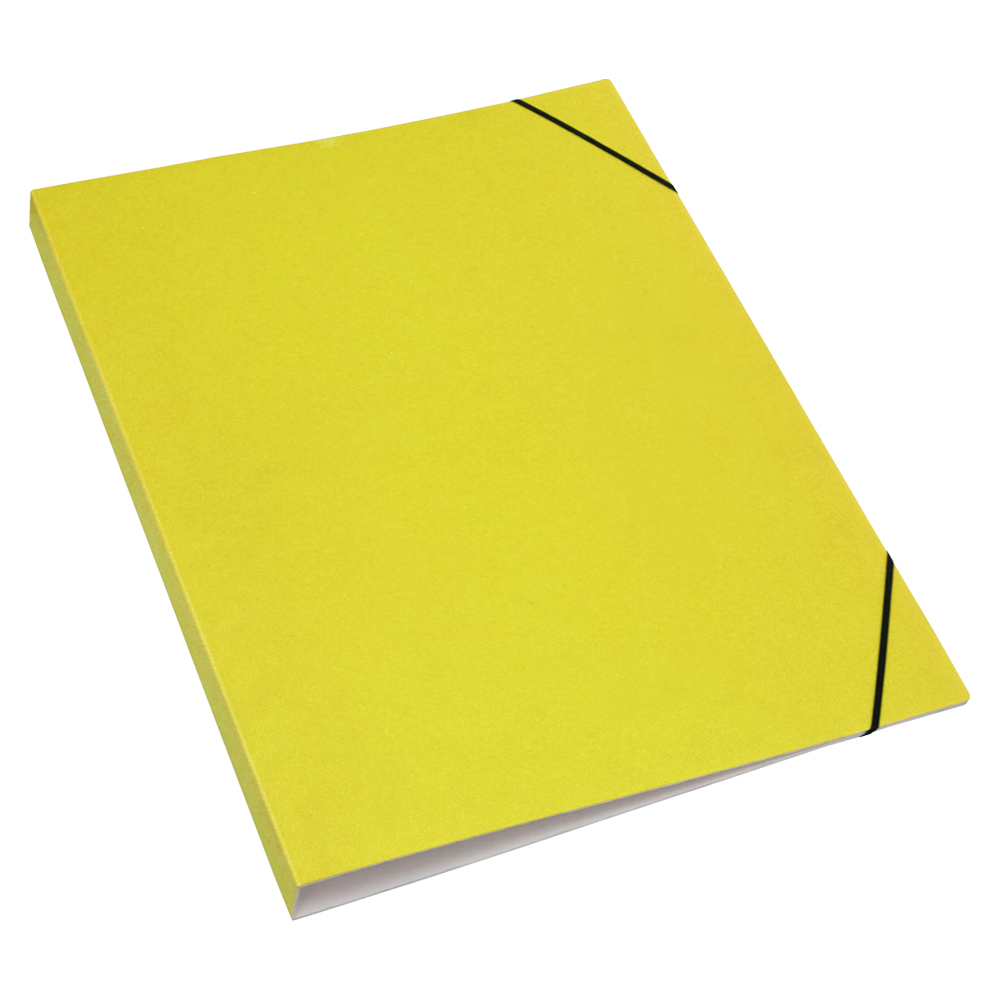 4-Ring Binder with Clear Sheet Protector RB-199