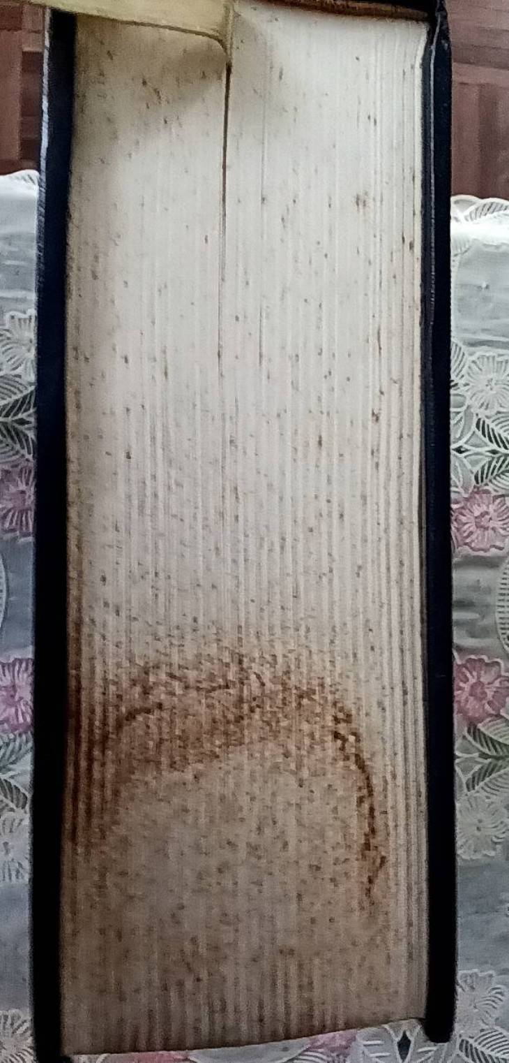 พี่น้องคารามาซอฟ