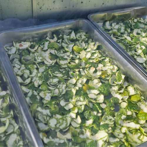 ผิวมะกรูด Dried Kaffir Lime ผิวมะกรูดแห้ง เปลือกมะกรูด มะกรูด อบใหม่ จาก OTOP ออกใบกำกับได้ ขนาด 500 กรัม