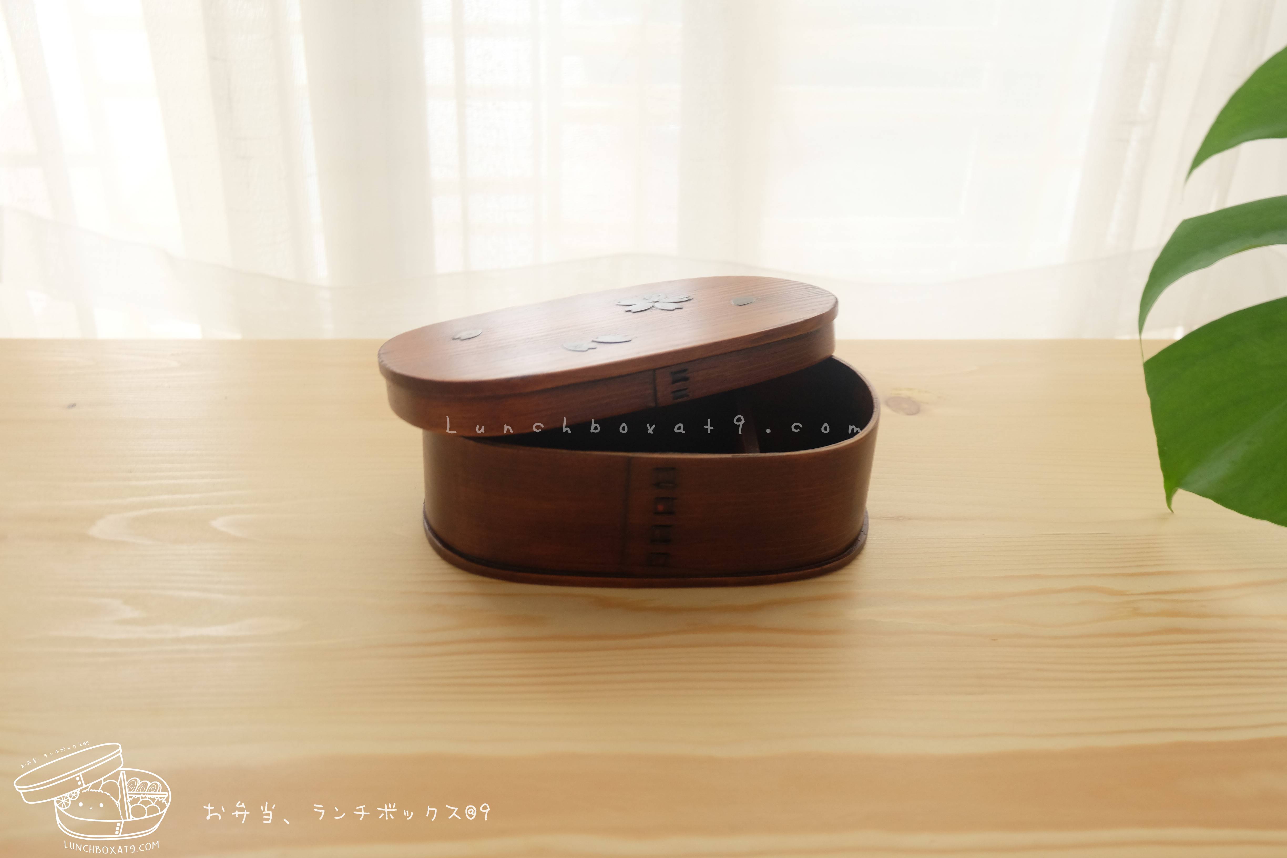 Oval Lacquered Bending magewappa Cherry Blossom Pattern bento box กล่องข้าวญี่ปุ่นทรงรี สีไม้คลาสสิค 1 ชั้น ลายดอกซากุระ