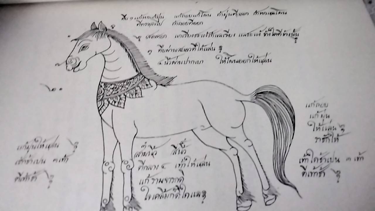 ตำราม้าของเก่า และ ตำราม้าคำโคลง