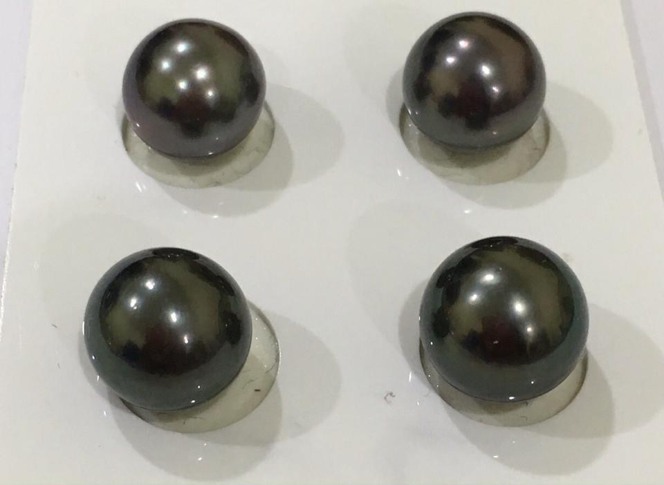 ต่างหูไข่มุก south sea สีดำ ขนาด 11-12 มิล เกรด AA ก้านเงินแท้