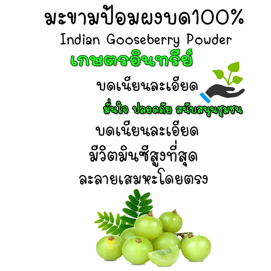 มะขามป้อมผง ออร์แกนิค100% Indian Gooseberry Powder บดใหม่ ธรรมชาติแท้ๆ ไม่มีน้ำตาล ไม่ผสมแป้ง
