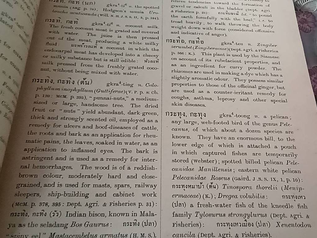 Thai-English Dictionary