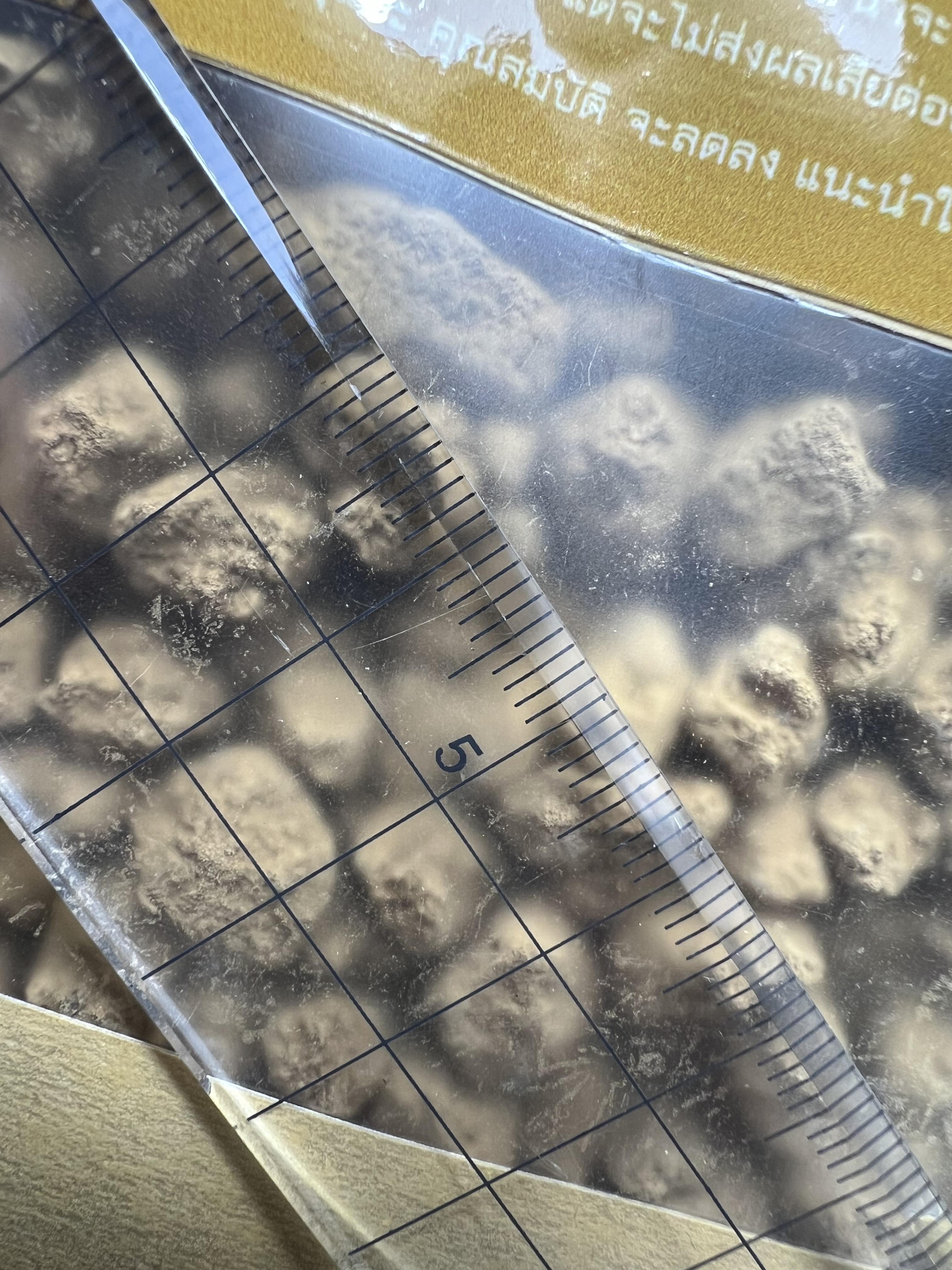 Medaka soil [L] 1 Kg.