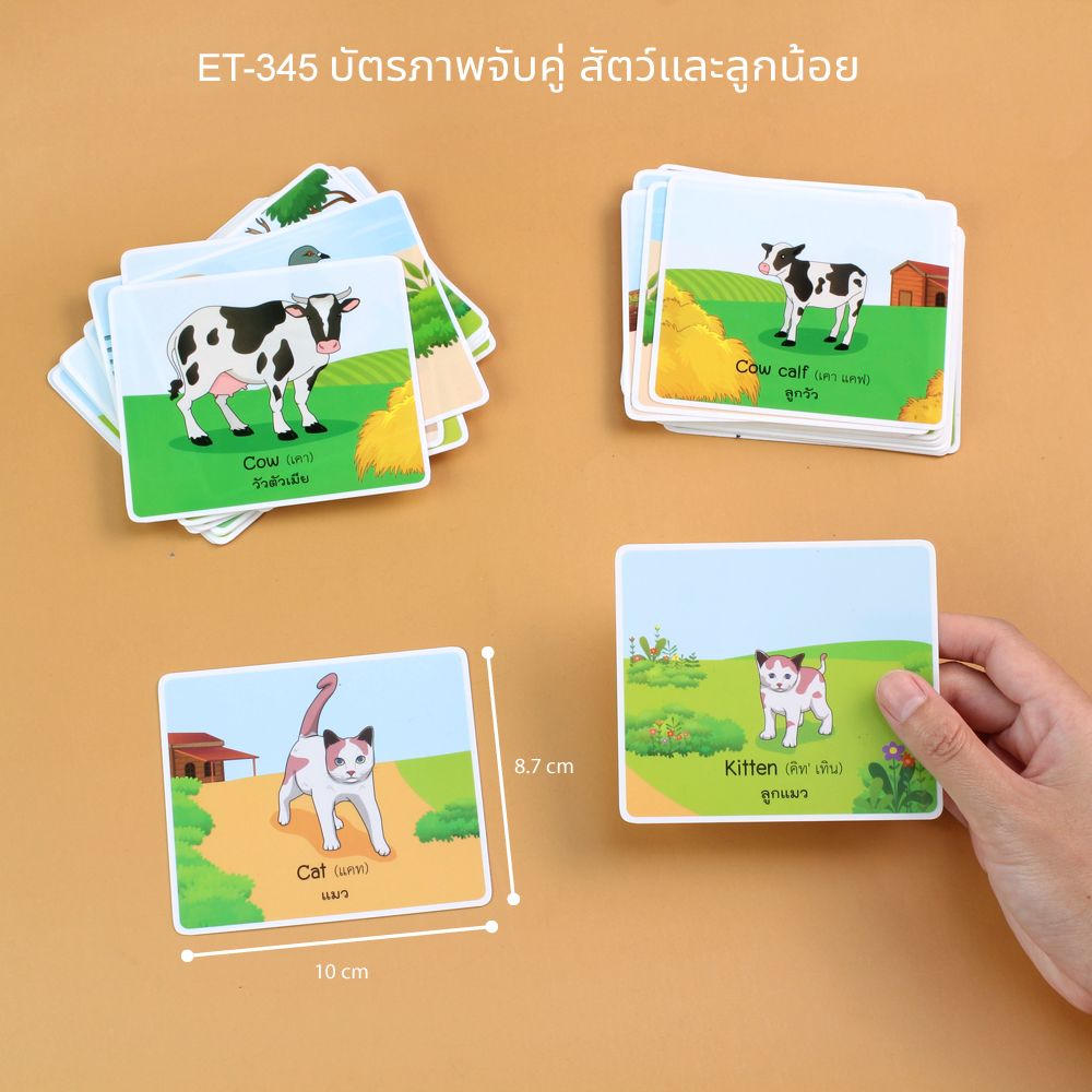 บัตรคำ เกมจับคู่ คำศัพท์ไทยอังกฤษ ET-345 สัตว์และลูกน้อย