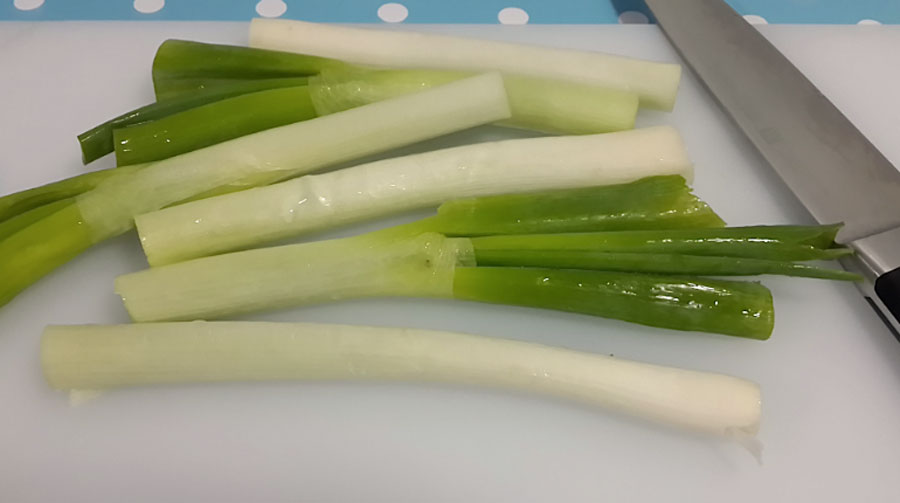 เมล็ดพันธุ์ ต้นหอมญี่ปุ่น