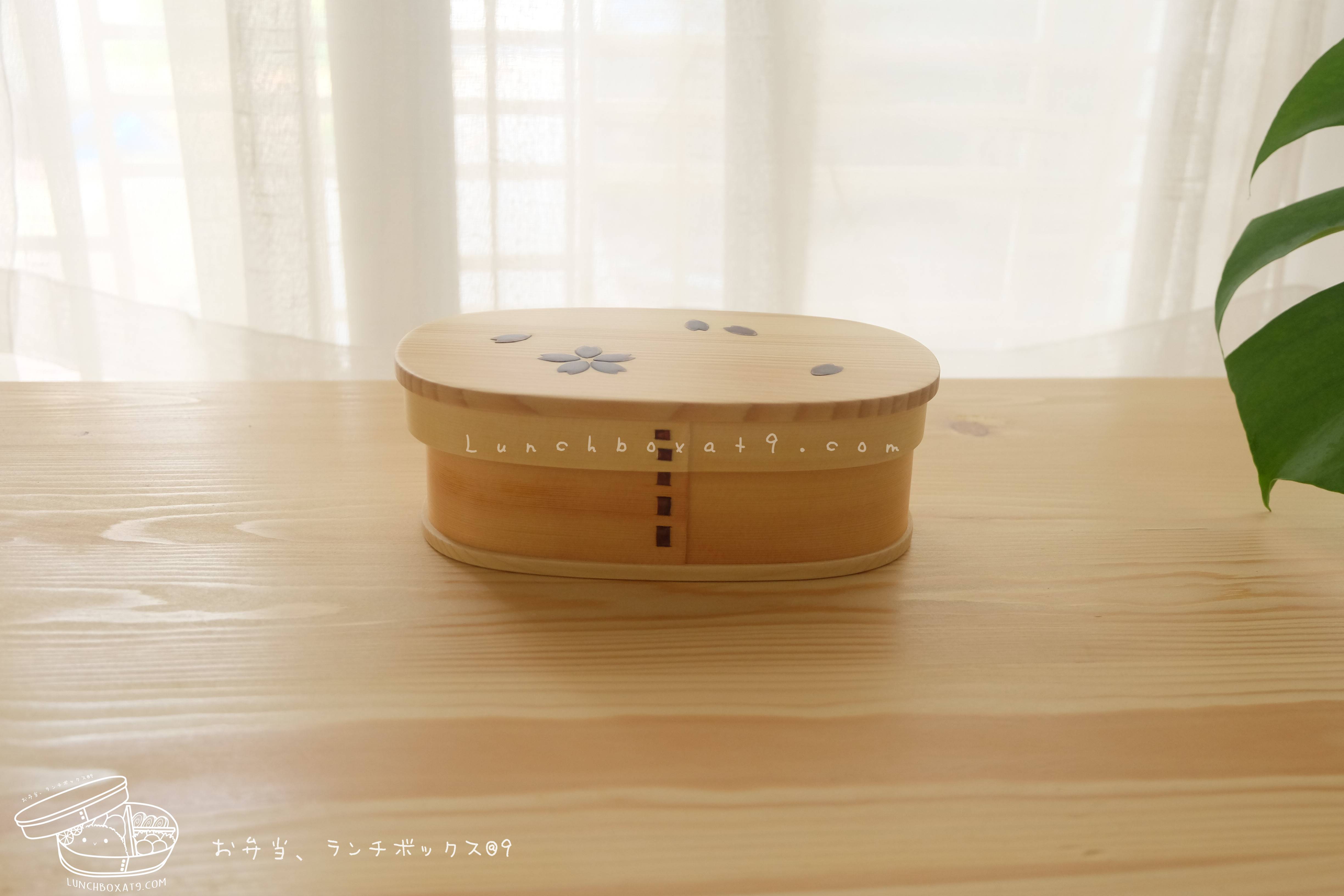 Oval Shiraki Bending magewappa Cherry Blossom Pattern bento box กล่องข้าวญี่ปุ่นทรงรี สีไม้ 1 ชั้น ลายดอกซากุระ
