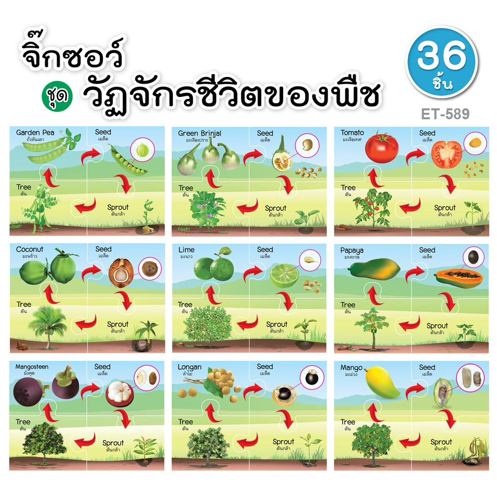 Four Piece Matching Puzzles Game Life Cycles