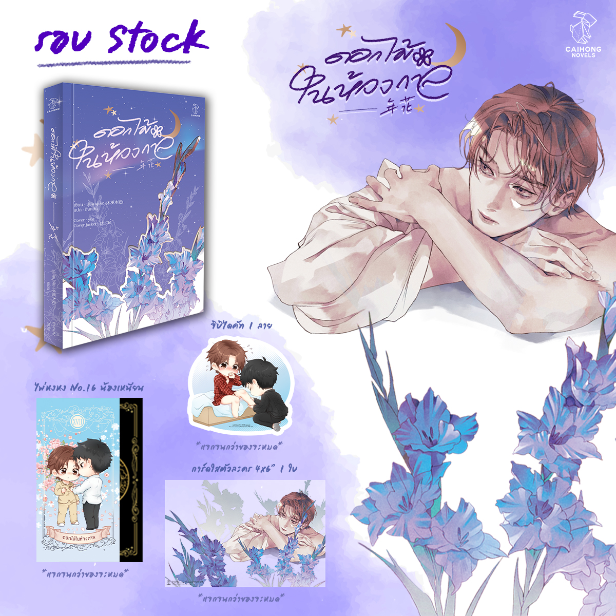 [รอบสต็อก] ดอกไม้ในห้วงกาล [เล่มเดียวจบ]
