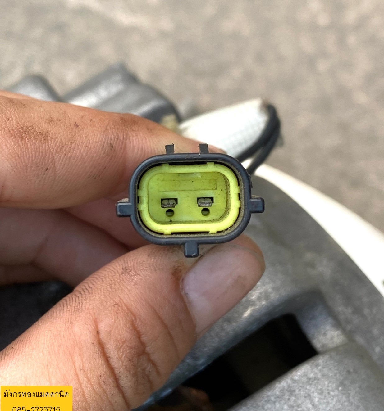 มอเตอร์ induction moter