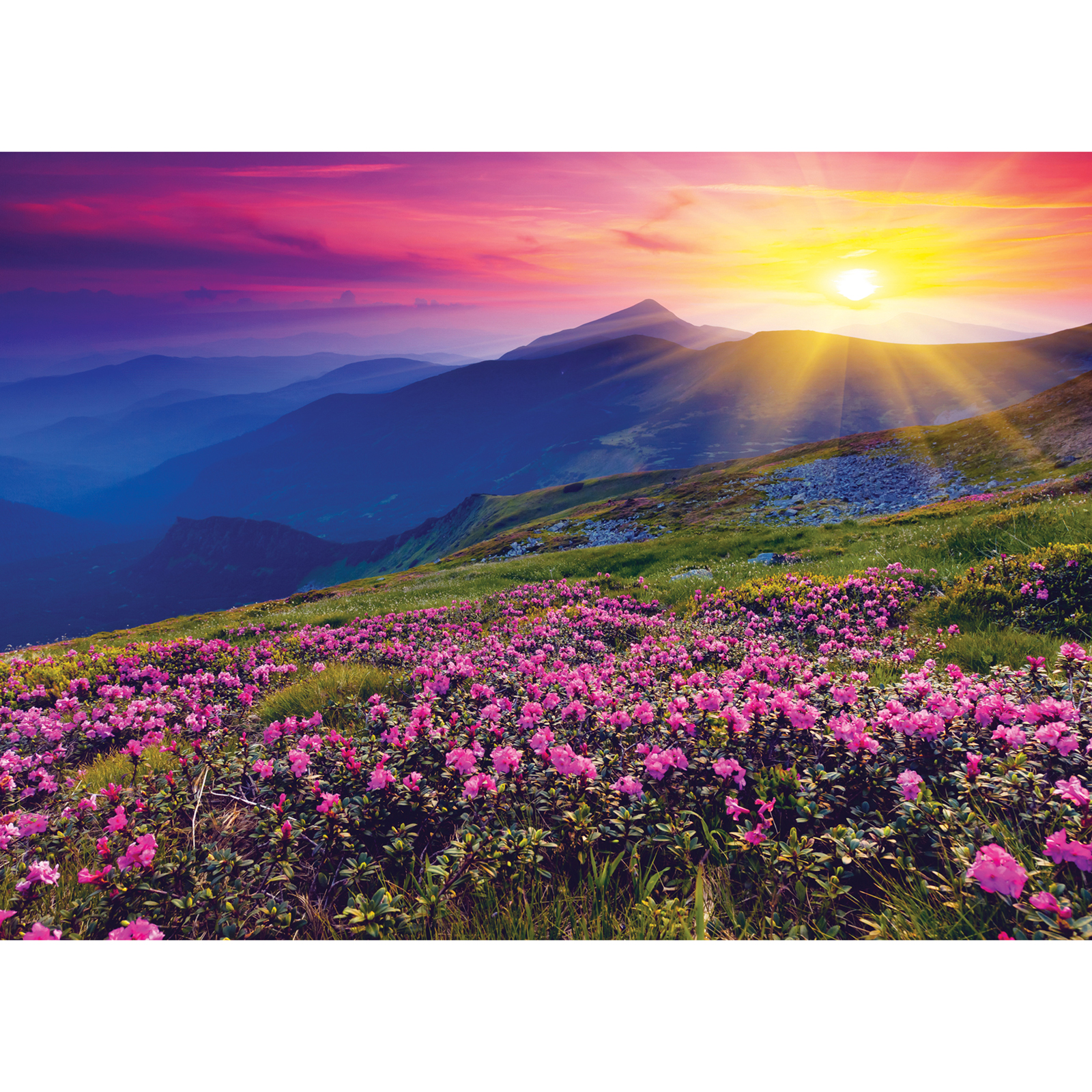 Jigsaw Puzzle ตัวต่อจิ๊กซอว์ 500 ชิ้น T067 Landscapes วิวธรรมชาติ Valley of Flowers India รูปหุบเขาแห่งดอกไม้ ประเทศอินเดีย MagicLand6