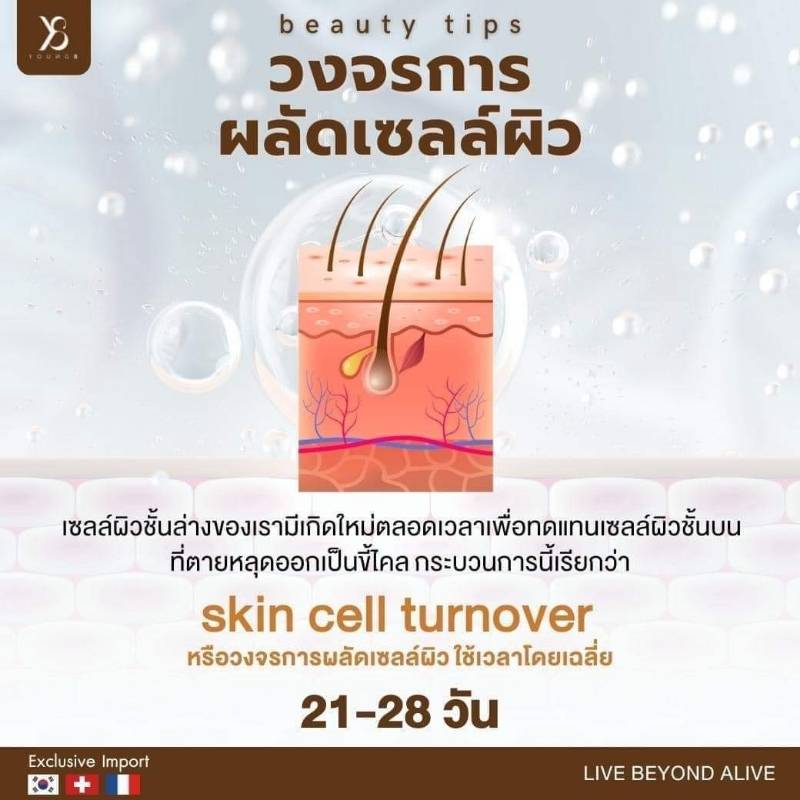 วงจรการผลัดเซลส์ผิว