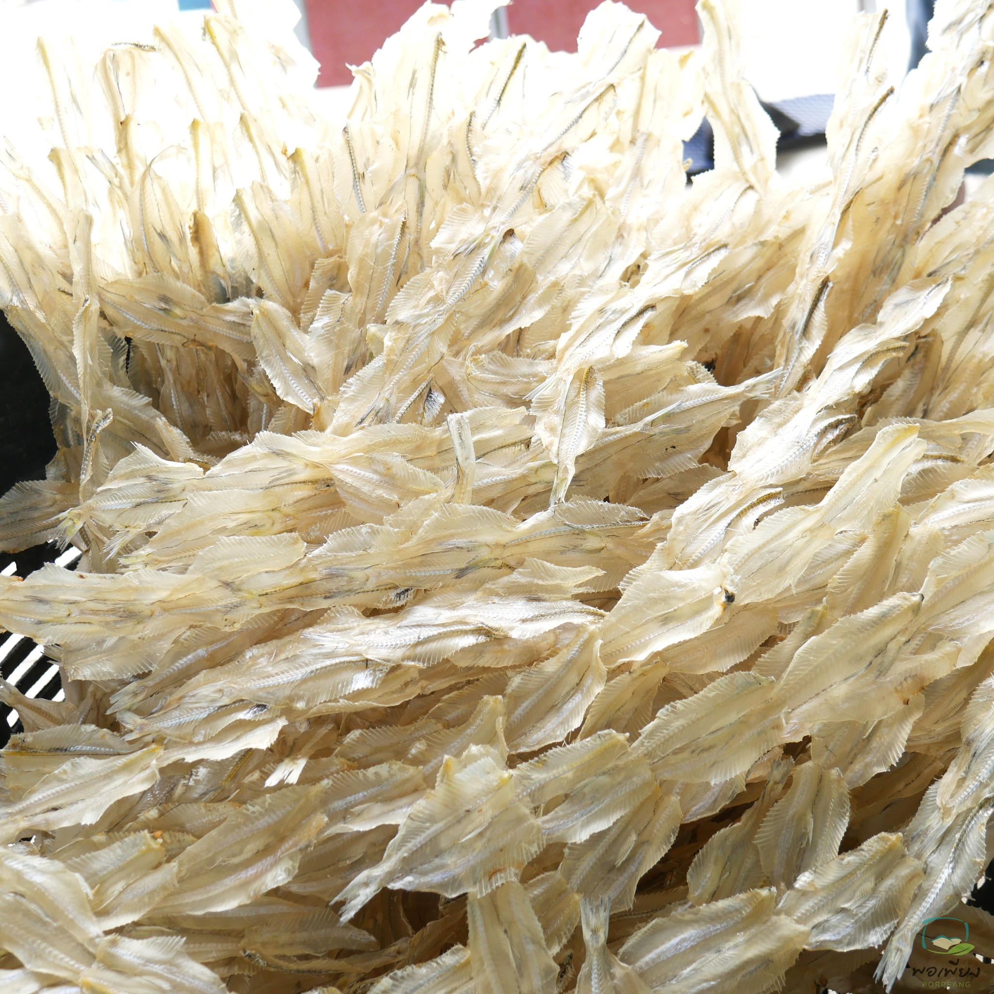 ปลาเกล็ดขาว (ผ่าพิเศษ) ขายส่ง 5 โล