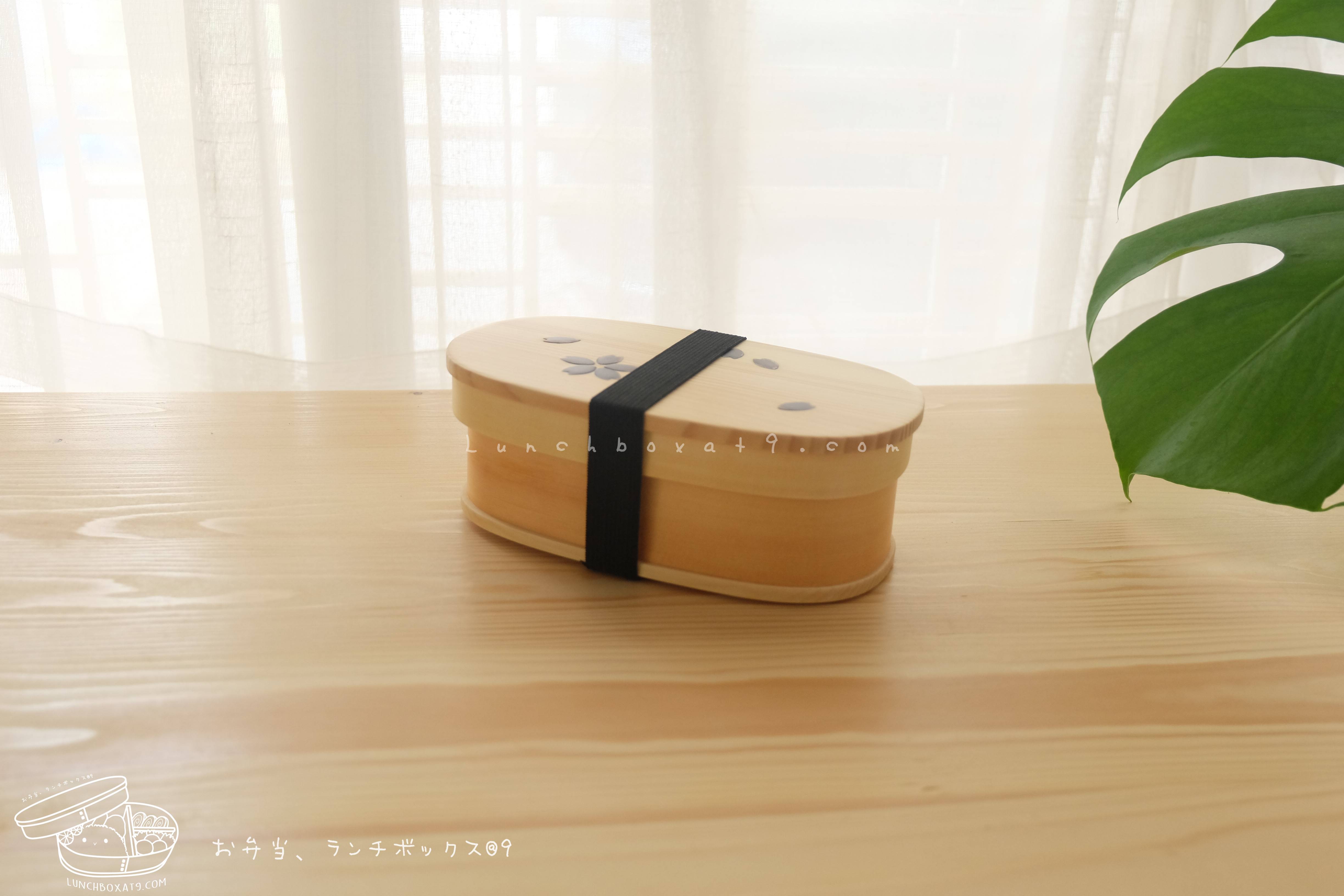 Oval Shiraki Bending magewappa Cherry Blossom Pattern bento box กล่องข้าวญี่ปุ่นทรงรี สีไม้ 1 ชั้น ลายดอกซากุระ