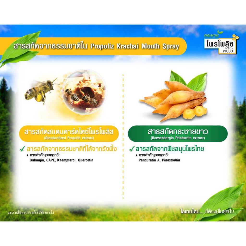 Propoliz Krachaikao Mouth Spray โพรโพลิซ สเปรย์พ่นคอผสมกระชายขาว 15 ml.