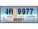 ทะเบียนรถสงขลา งค 9977 เลขประมูล หรูหราเหนือระดับ “งานหนัด”