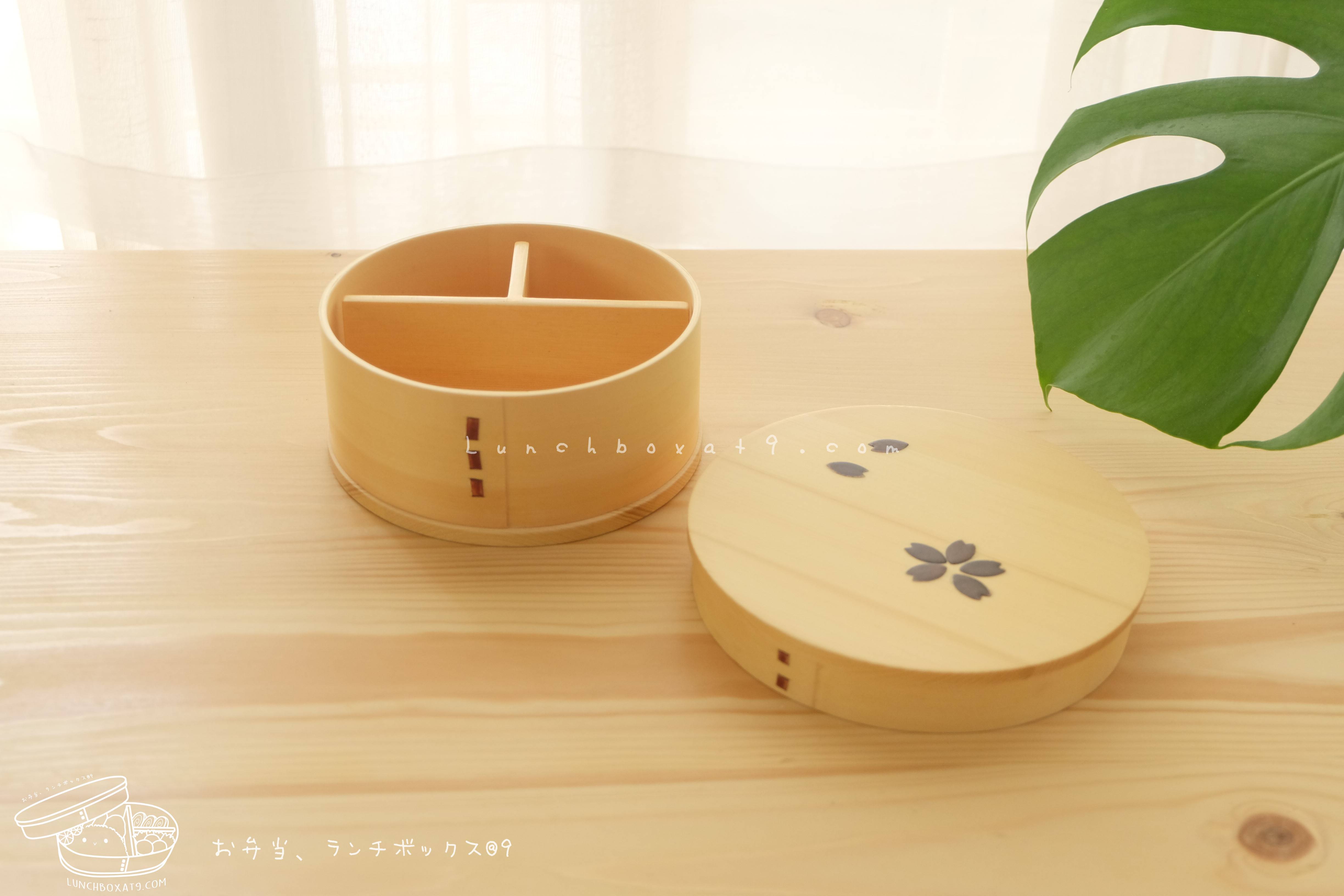 Round Shiraki Bending magewappa Cherry Blossom Pattern Bento Box กล่องข้าวญี่ปุ่นทรงกลม สีไม้ 1 ชั้น ลายดอกซากุระ