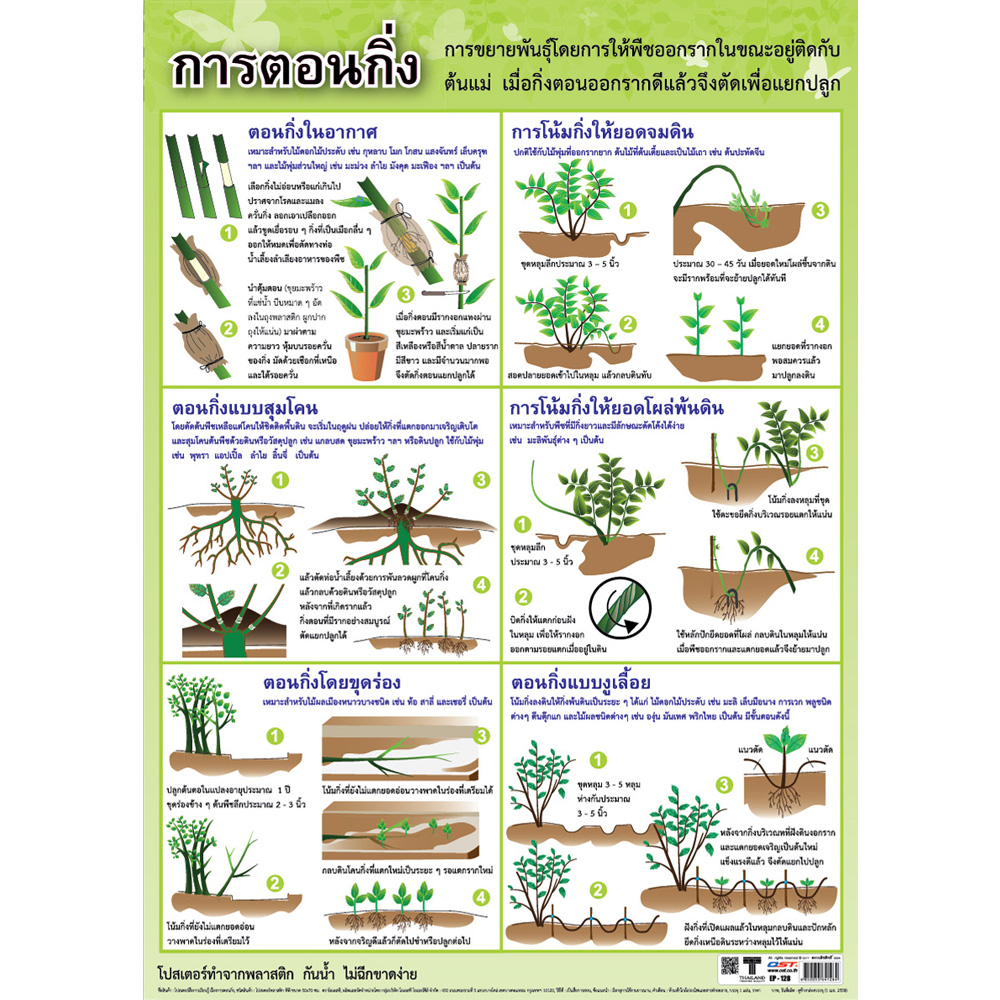 Plant Propagation by Layering Educational Posters No.128