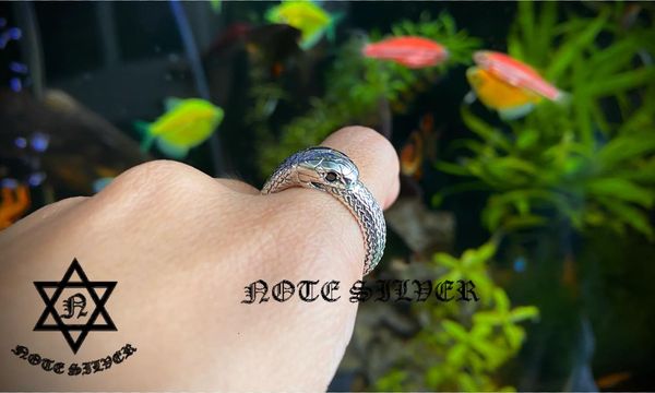 แหวนเงินแท้ ลายงูกินหาง ดวงตาฝังนิล (รุ่นเล็ก 5mm) Ouroboros Sterling Silver 925 NSRG2843