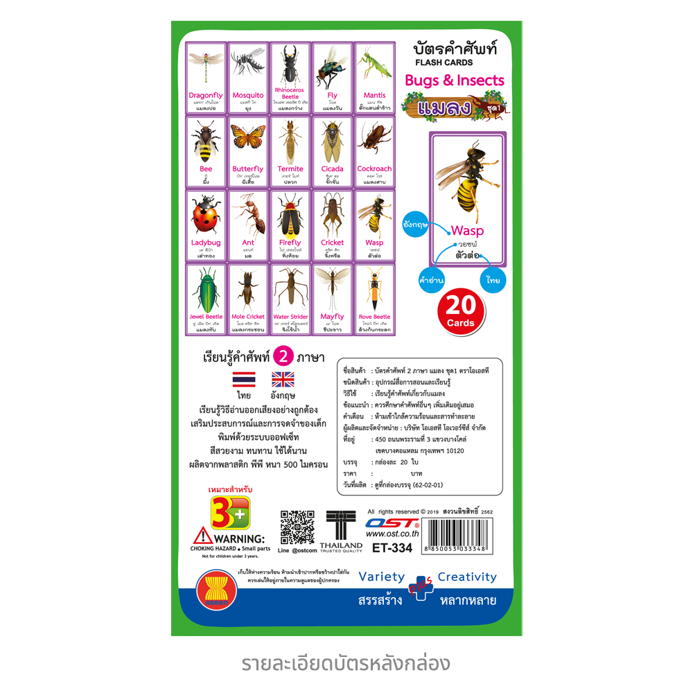 บัตรคำ Flashcards ชุดแมลง Bug&Insects