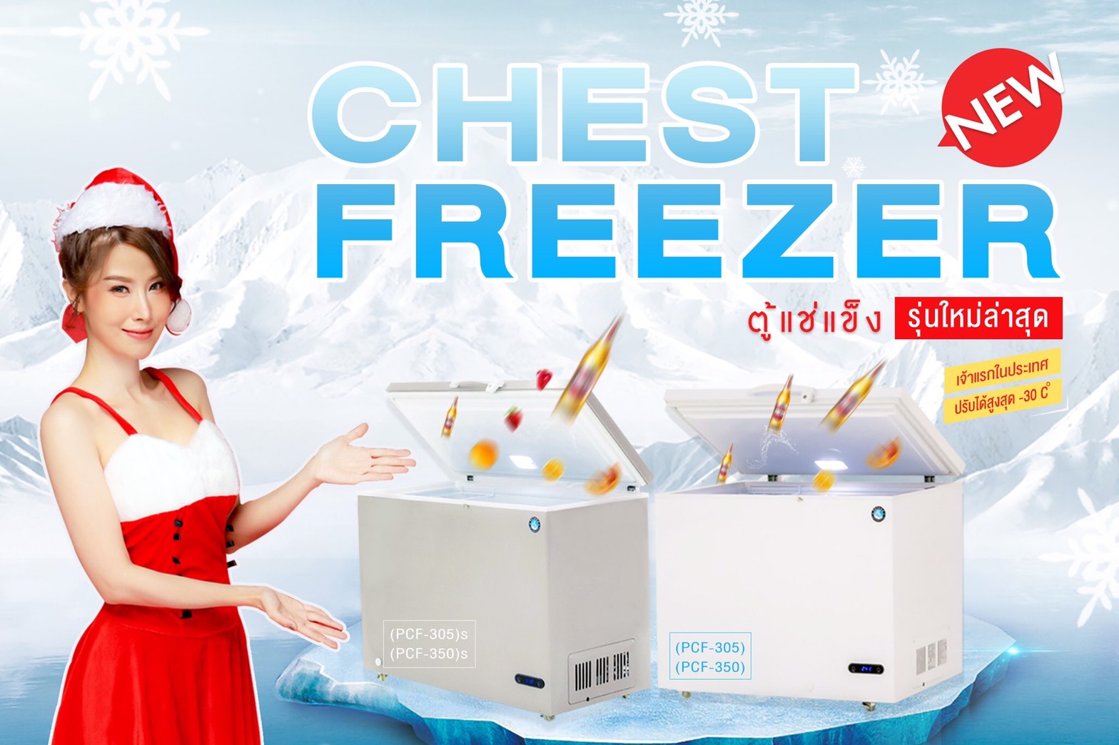 ตู้แช่ไอศกรีม ตู้แช่แข็ง Chest Freezer ประตูทึบ รุ่น PCF-350