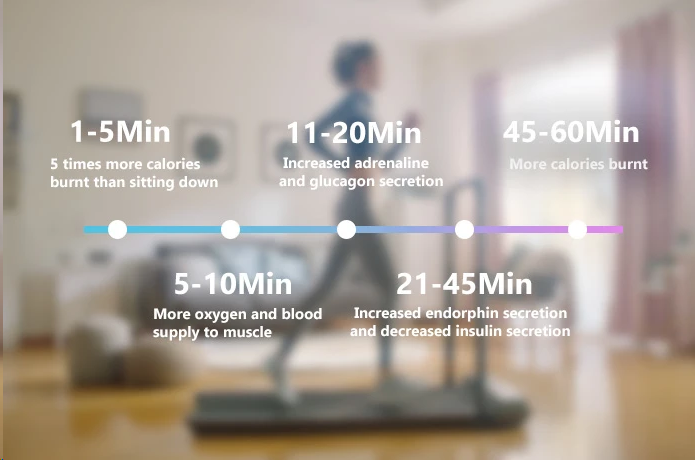 XIAOMI ลู่วิ่งไฟฟ้า WalkingPad KingSmith R1 Pro