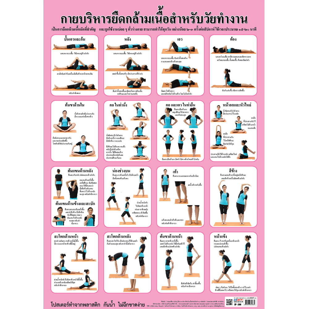 โปสเตอร์ความรู้ การบริหารยืดกล้ามเนื้อสำหรับวัยทำงาน EP-288