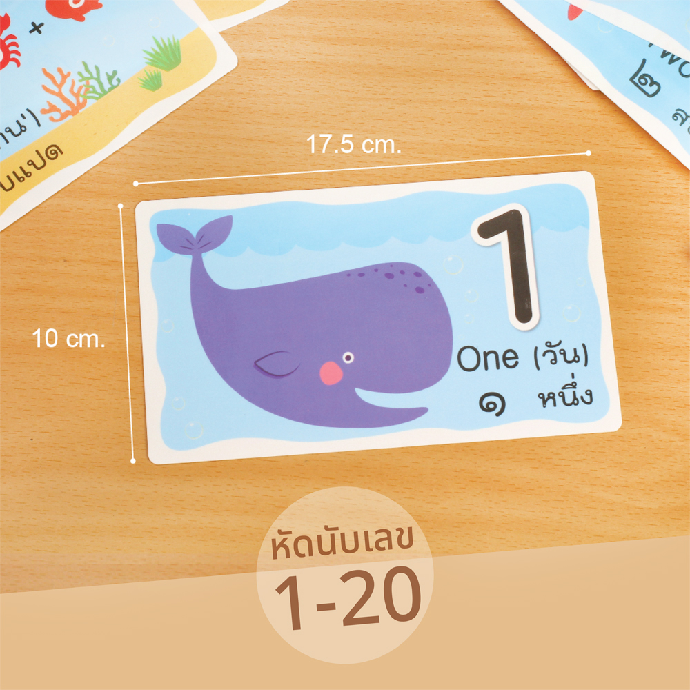 ขนาดบัตรคำ Flashcards ชุดหัดนับเลข1-20 ET-117 ลายสัตว์ทะเล