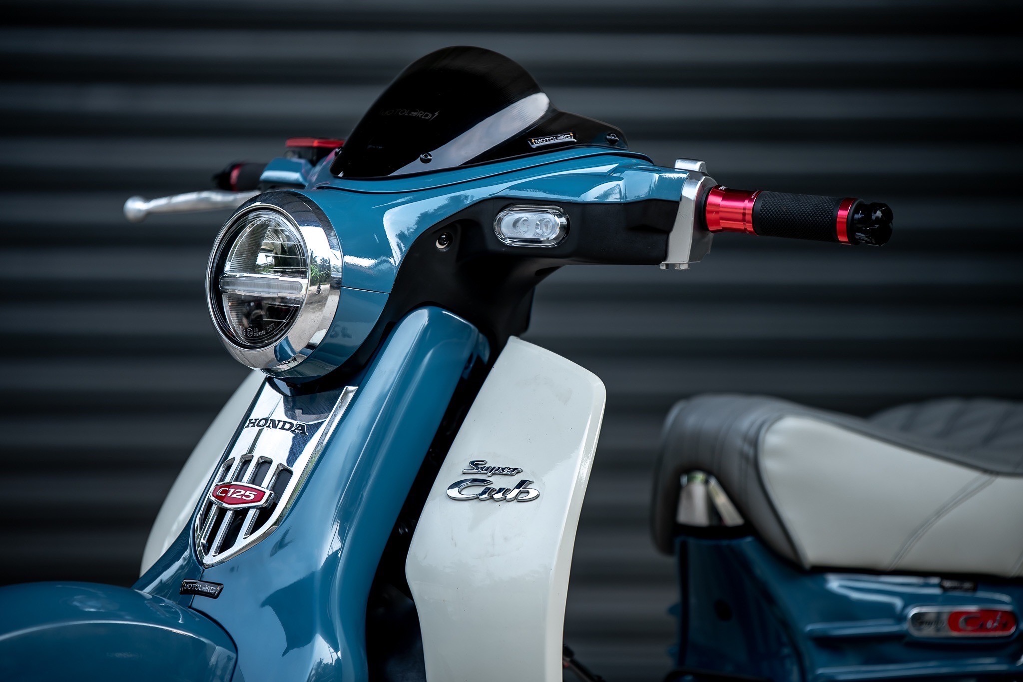 HONDA SuperCUB C125-C110 MotolordD