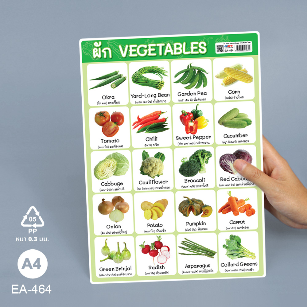 โปสเตอร์ความรู้ คำศัพท์ ไทย-อังกฤษ ชุดพืช ขนาดA4 EA-464 ผัก Vegetable