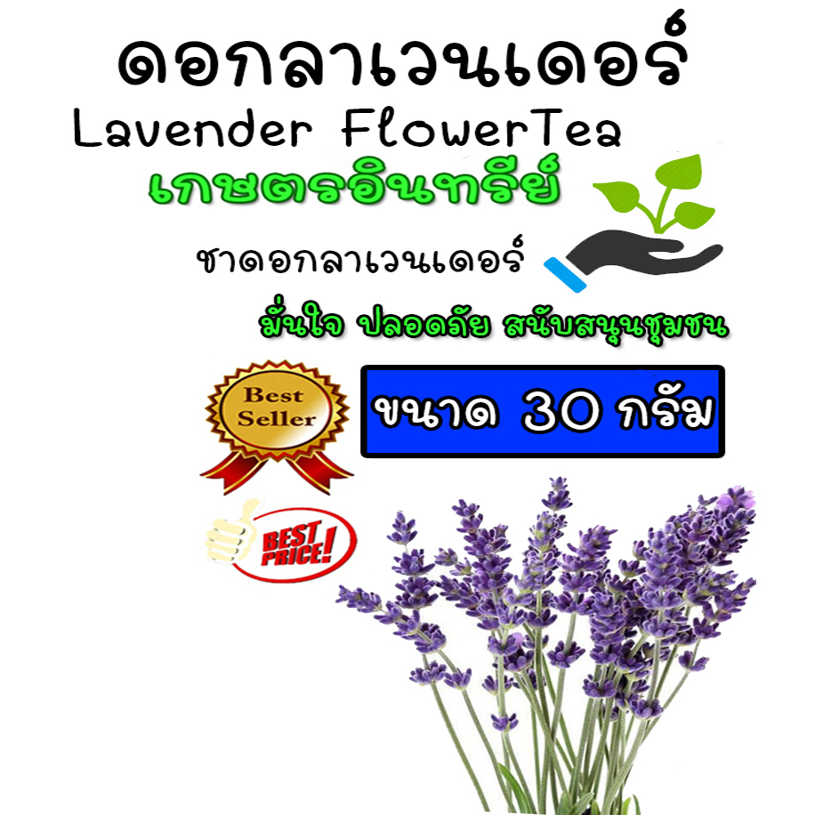 ชาลาเวนเดอร์ ดอกลาเวนเดอร์แห้ง ชาลาเวนเดอร์ LavenderTea