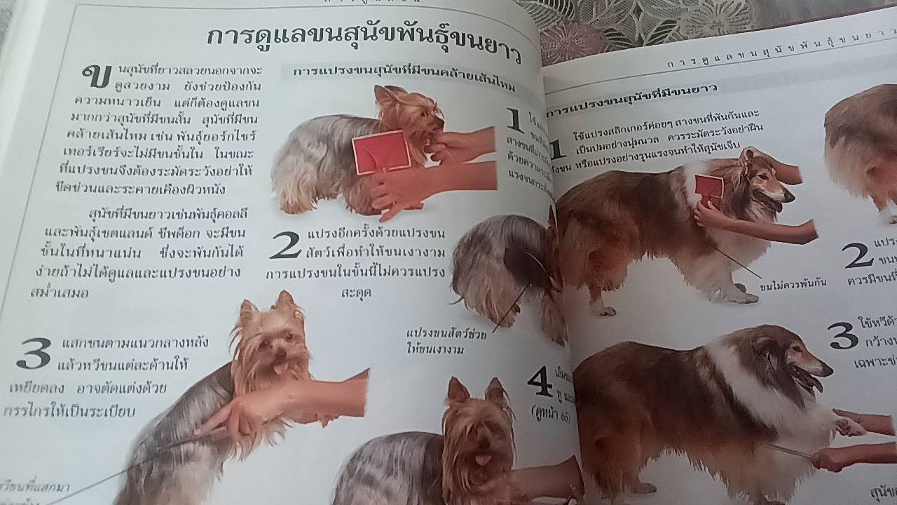 คู่มือดูแลสุนัข ฉบับสมบูรณ์