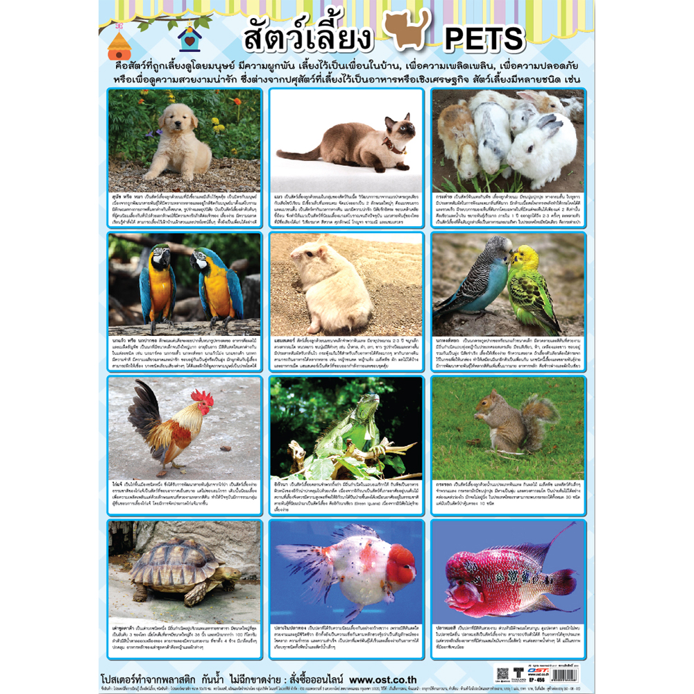 Pets Educational Posters No.456