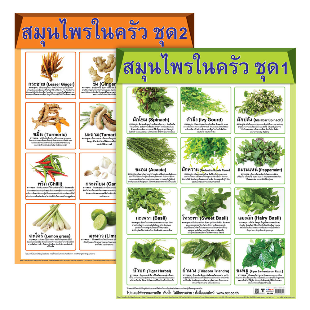 Kitchen Herbs Educational Posters