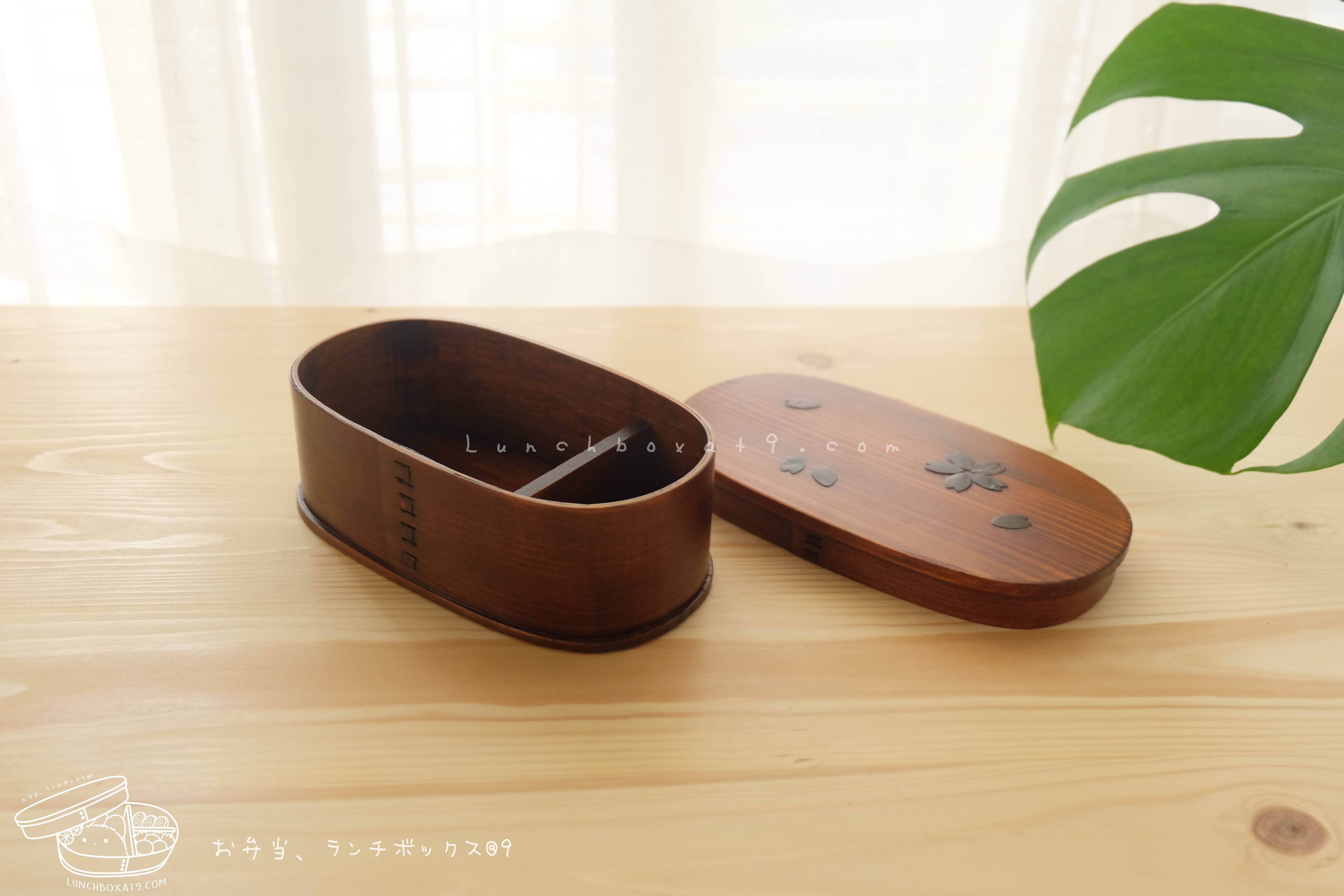 Oval Lacquered Bending magewappa Cherry Blossom Pattern bento box กล่องข้าวญี่ปุ่นทรงรี สีไม้คลาสสิค 1 ชั้น ลายดอกซากุระ