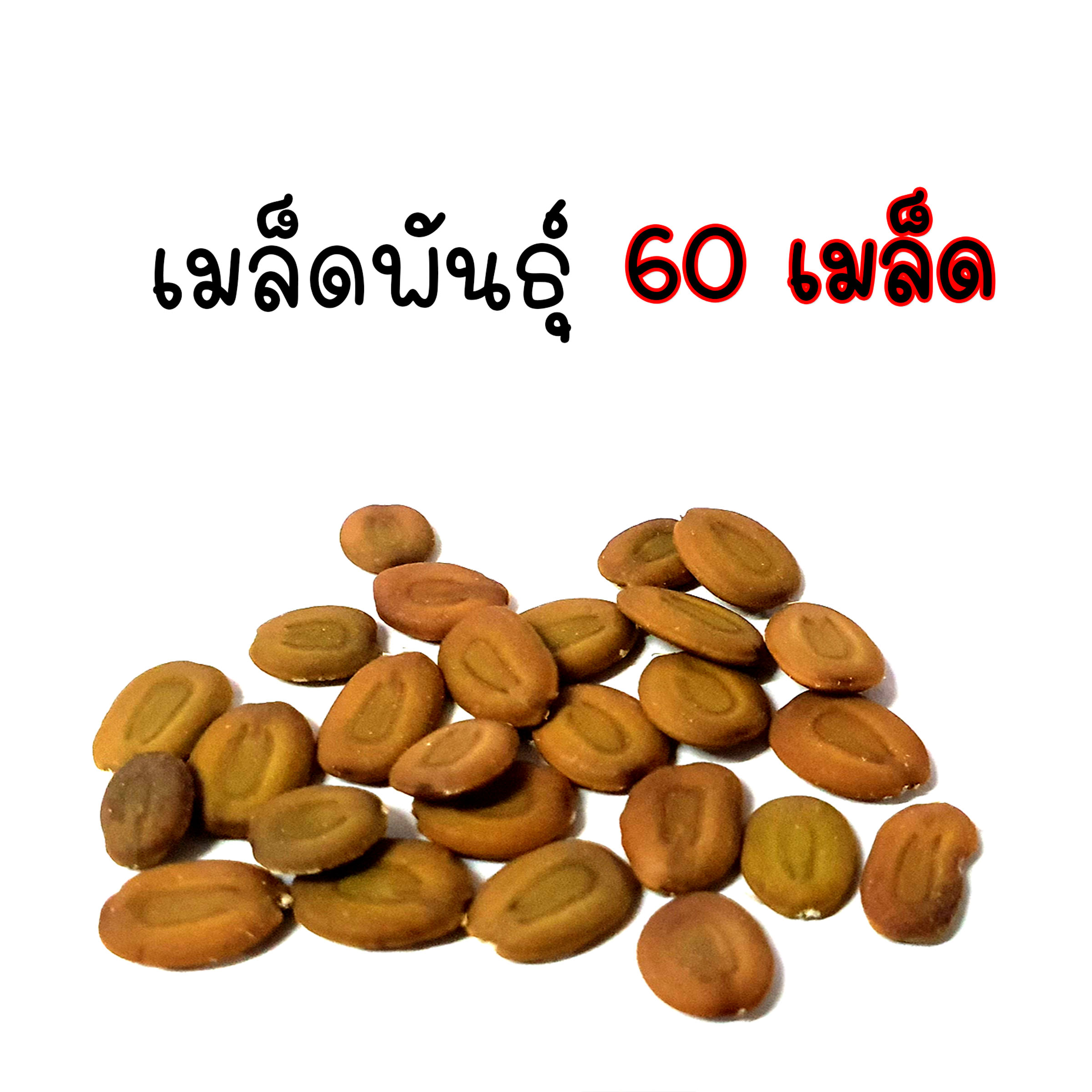 เมล็ดพันธุ์ ผักตุ๊ด,มะรุมป่า,พฤกษ์,ซึก,อีซึก หรือ จามจุรีทอง