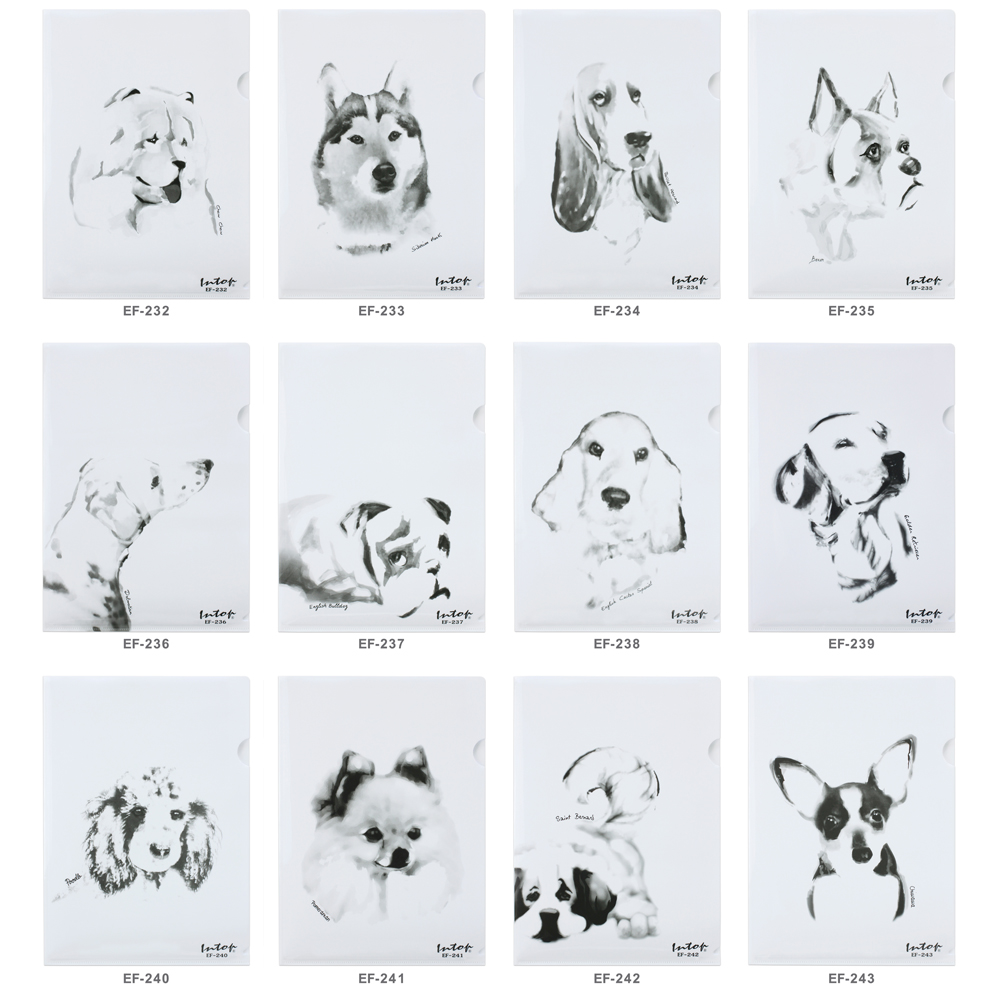 แฟ้มซอง A4 พิมพ์ลายด็อกกี้